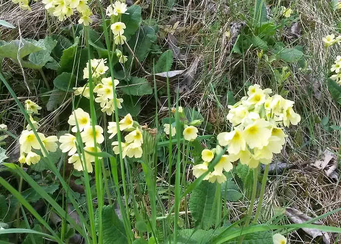 Restaurant Raetia Otel