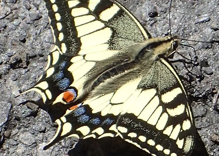 Restaurant Raetia * Tiefencastel